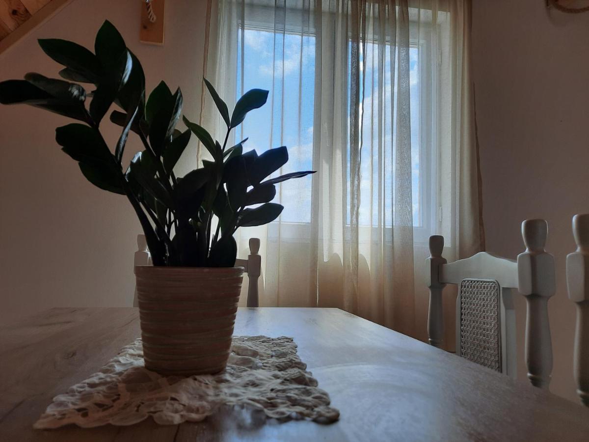 Vila Aleksandar ชาเบลียค ภายนอก รูปภาพ